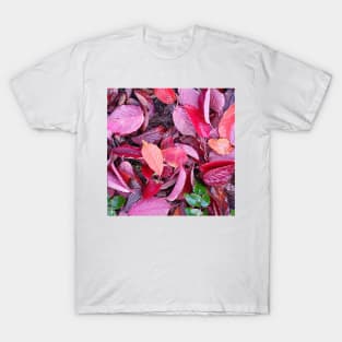 Autumn leaves T-Shirt